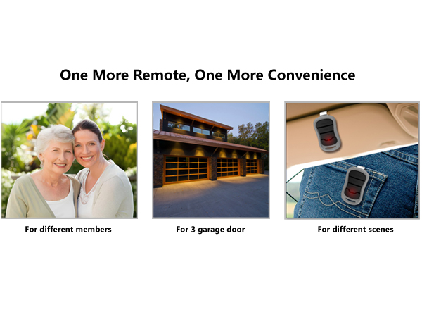 Genie Intellicode Remote