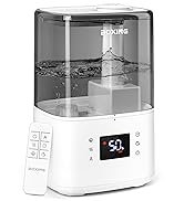 warm and cool mist humdifier