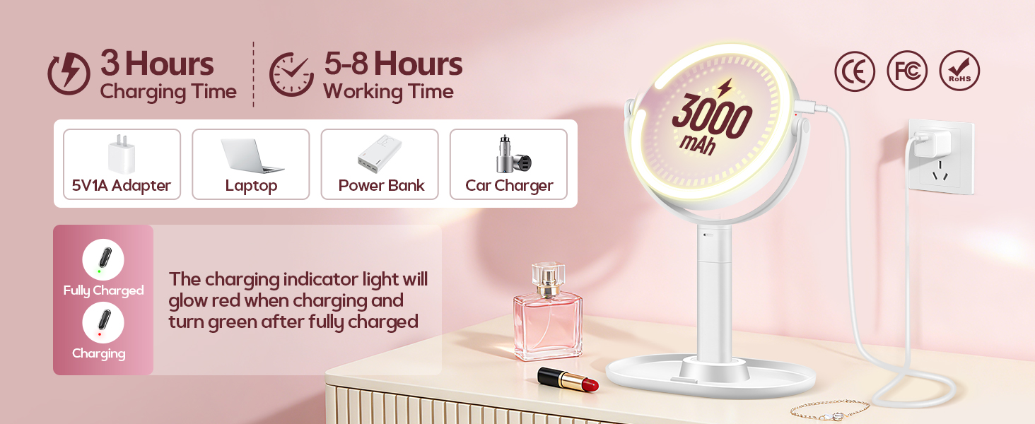 Magnifying Mirror with Light 30X