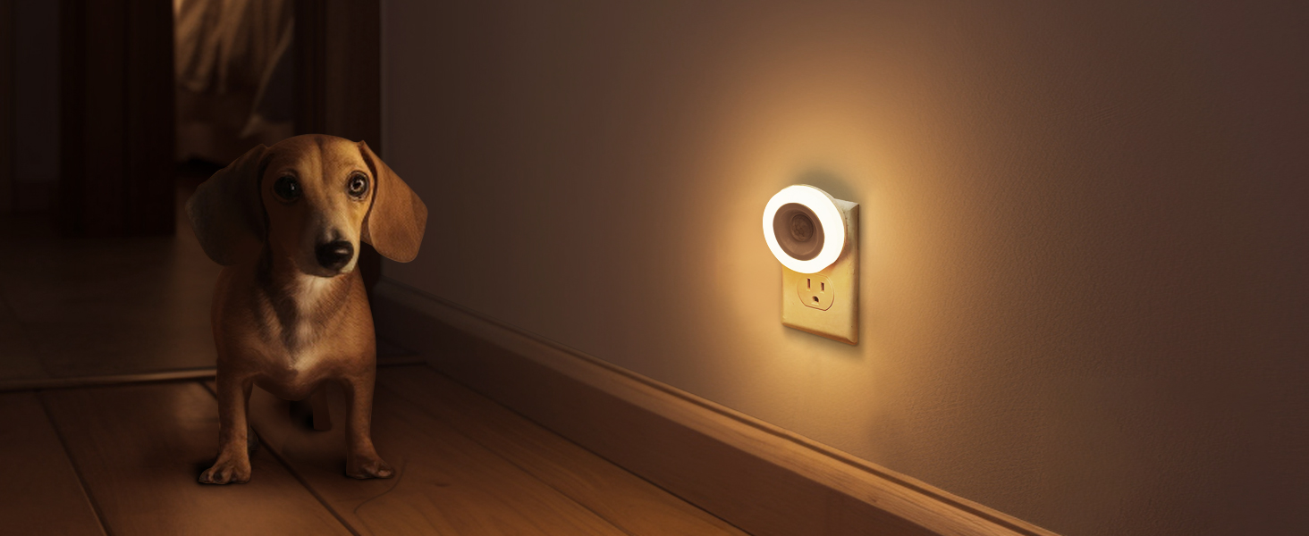 Night Light for Hallway