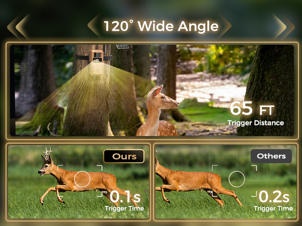 0.1s Faster Trigger Wildlife Camera