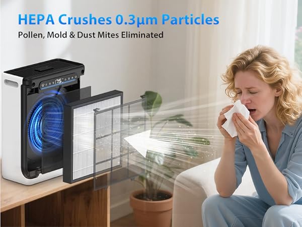 air purifiers for home pets