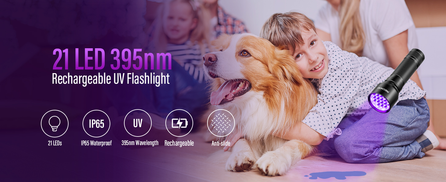 uv flashlight