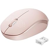 seenda Wireless Mouse for Laptop, 2.4G Noiseless Mouse with USB Receiver - Optical Tracking Porta...