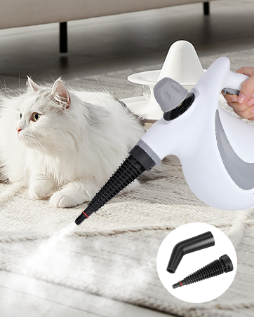 Portable Steamer