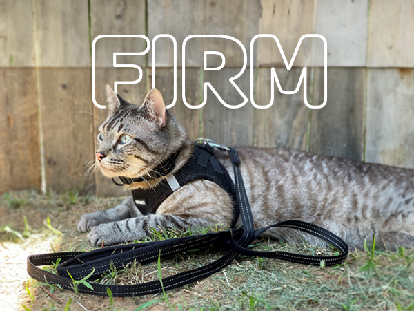 dog collars, harnesses &amp; leashes