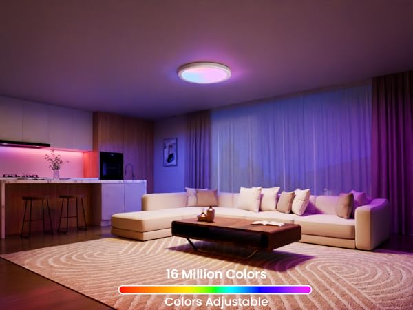 Smart Ceiling Light
