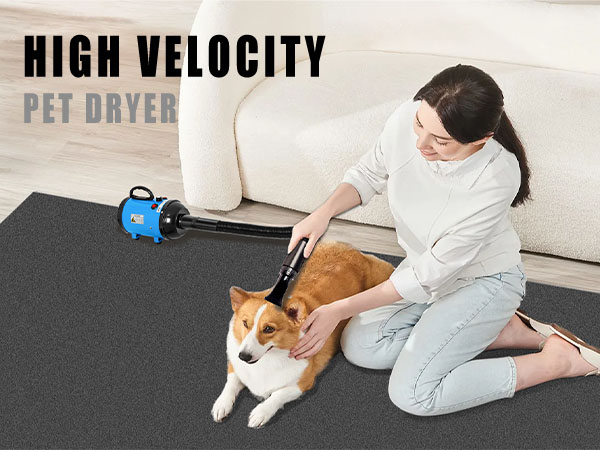 Dog Hair Dryer High Velocity Professional Dog Blow Dryer