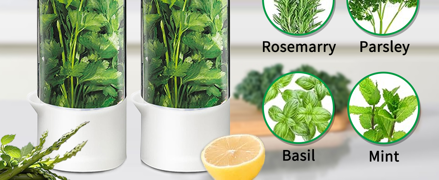 Herb Keeper for Refrigerator