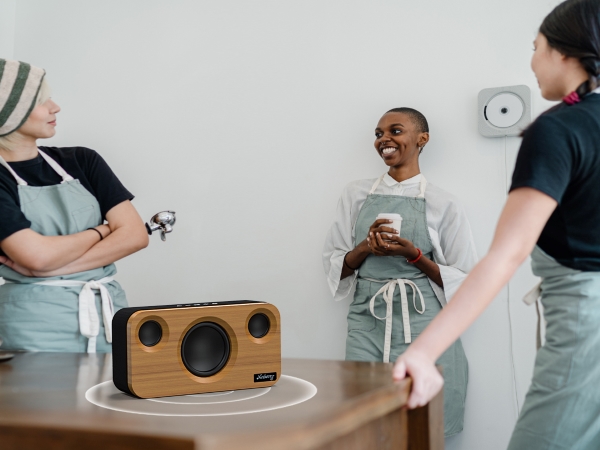 wireless bluetooth speakers