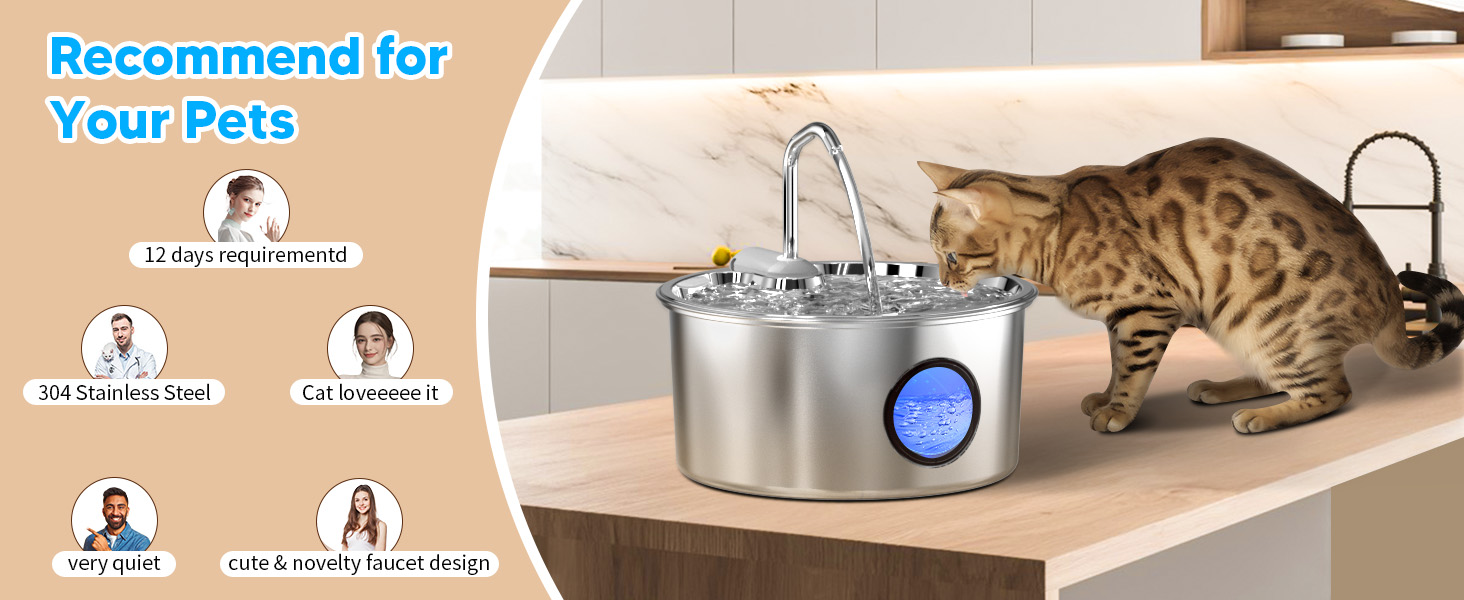 cat fountains for drinking