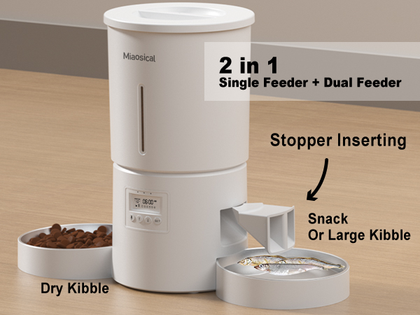 dual cats auto feeder