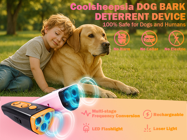 dog training device