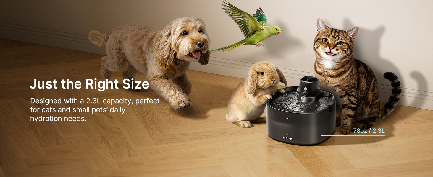 cat drinking water fountain