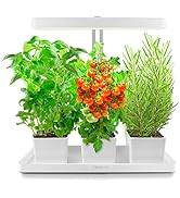 TORCHSTAR LED Indoor Herb Garden Kit, Height Adjustable, 20W Grow Light with Timer, CRI 95+, Indo...