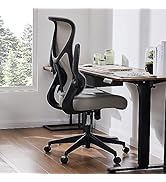 DUMOS Ergonomic Office Chair, High Back Comfy Desk Chair with Wheels,Swivel Rolling Flip-up Arms ...