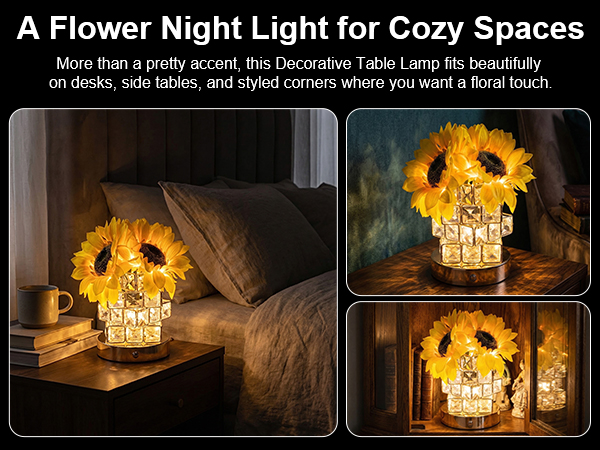 rechargeable cordless table lamp
