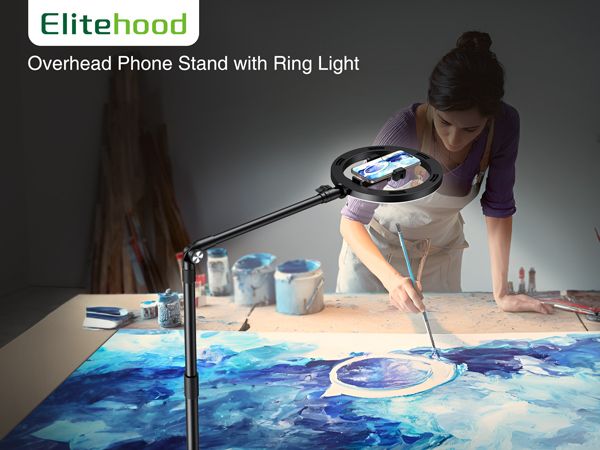 OVERHEAD PHONE MOUNT WITH LIGHT