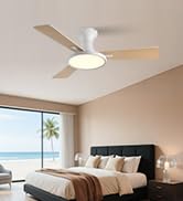 Orison Ceiling Fans with Lights, 42 inch Low Profile Ceiling Fan with Light and Remote Control, B...