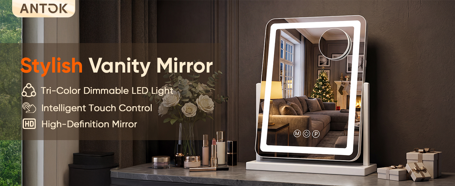 Vanity Mirror with Lights