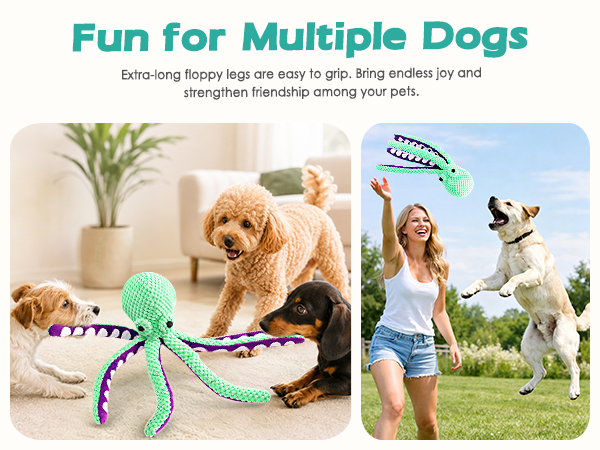 dog toys for small dogs
