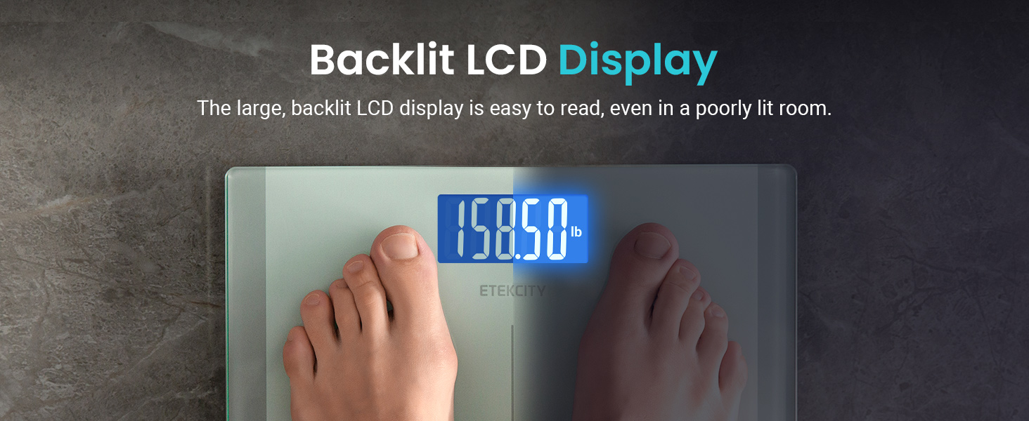 Backlit LCD Display