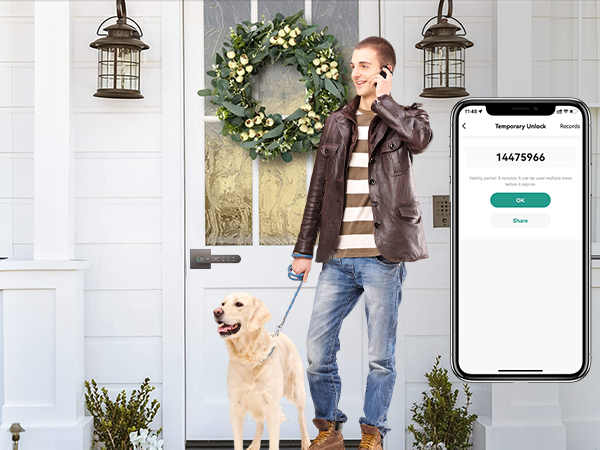 Smart Door Lock for Bedroom grey