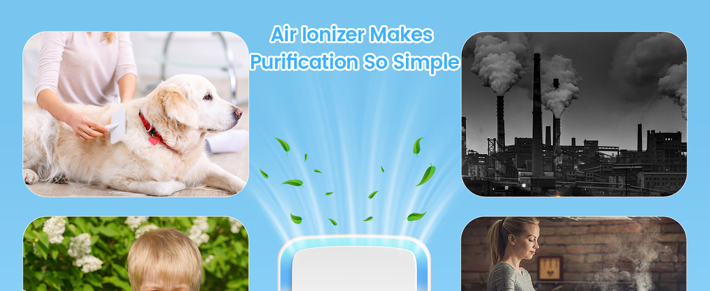 portable air purifier