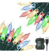 Green Convenience Christmas Lights 33ft 100 LED Battery String Lights with Timer Memory Function ...