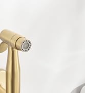 handheld bidet sprayer