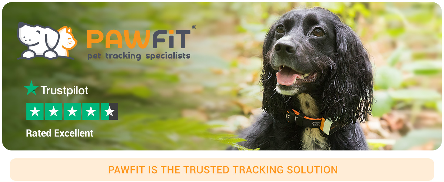 gps dog tracker, Pawfit