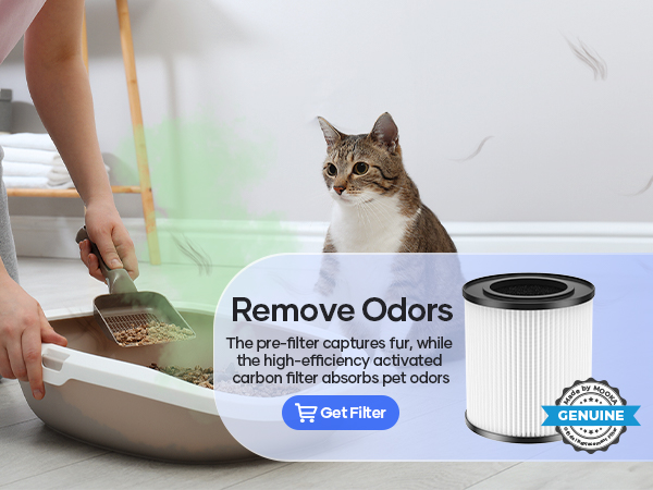 air purifiers for bedroom