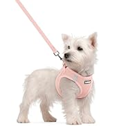 rabbitgoo Dog Harness Small Sized and Leash Set, Step in Soft Light Puppy Vest, Breathable Mesh P...