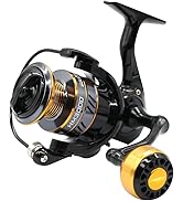 HM Spinning Reel for Saltwater 5.2:1 Gear Ratio Spinning Reel 1000/3000/4000/5000/6000/7000 Light...