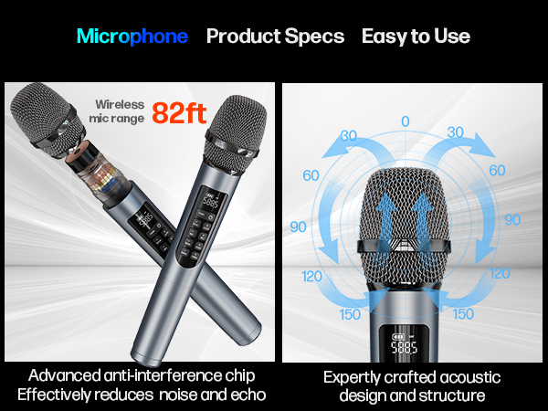 Includes 2 wireless microphones