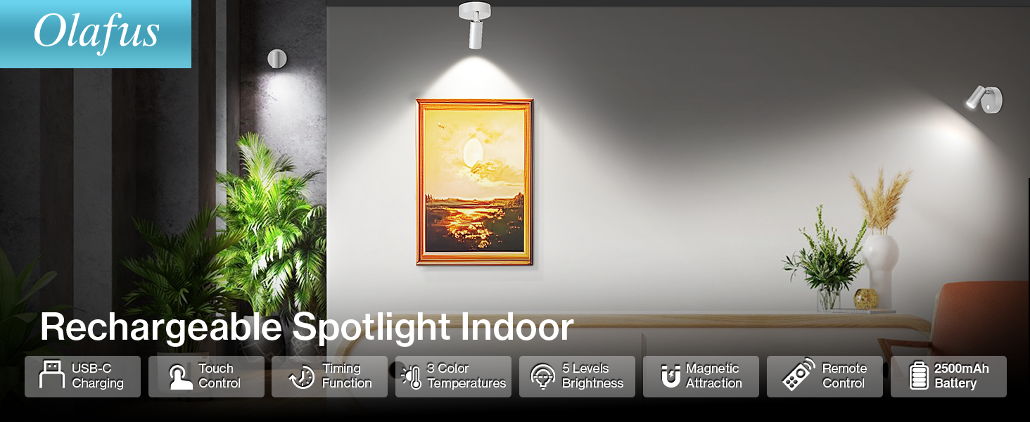 rechargeable spotlight