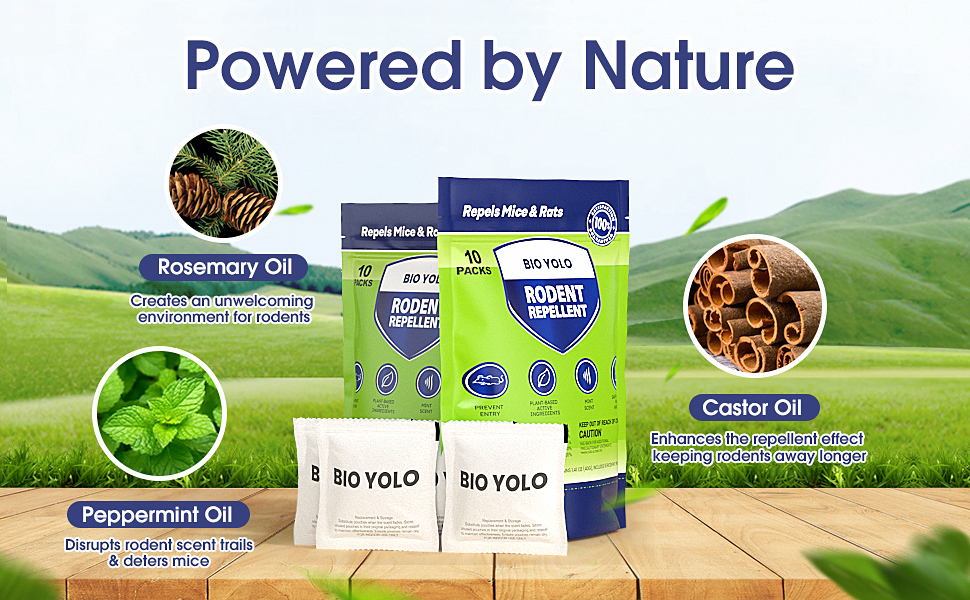 Nature ingredients 