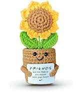 SOL VIBES Mini Sunflower Crochet Gift with Card for Women Best Friend, Soul Sister, Long Distance...
