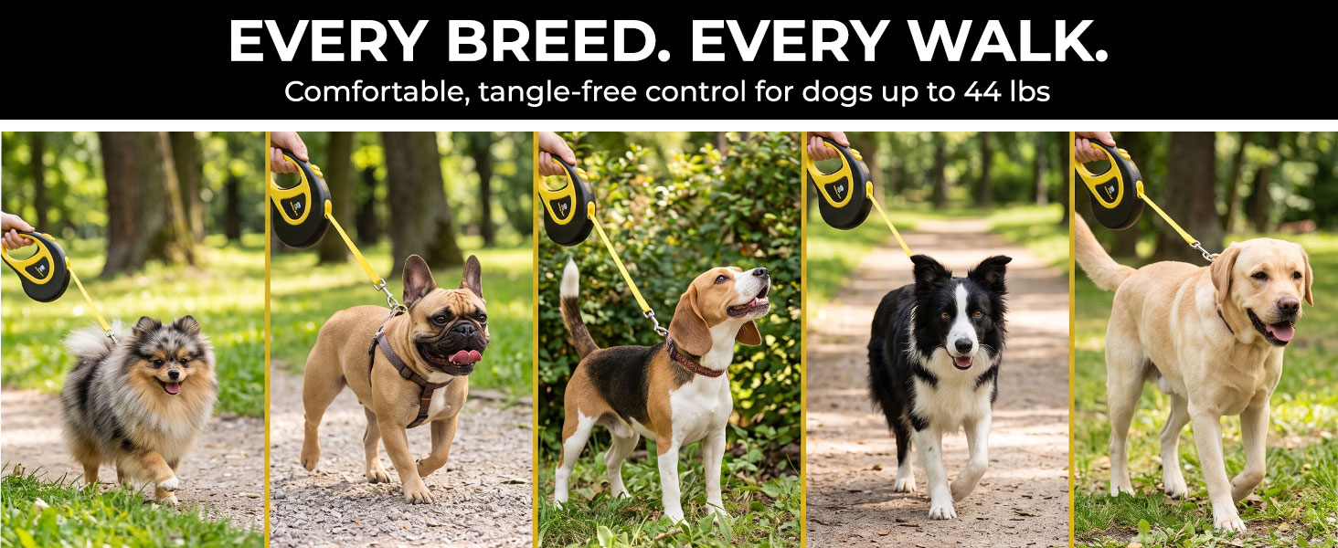 Dog Leash