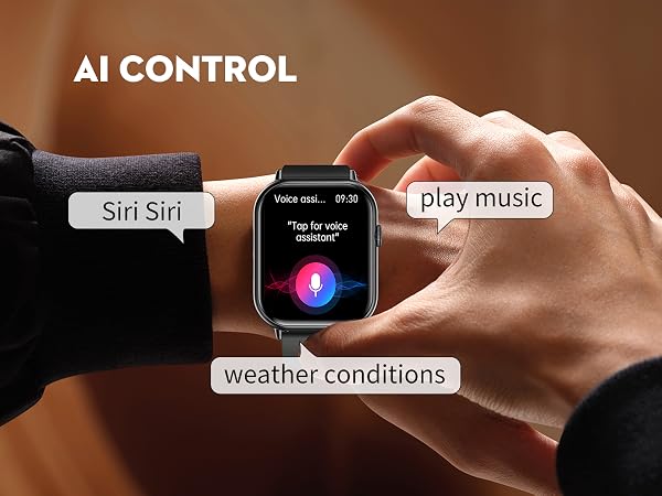AI Control