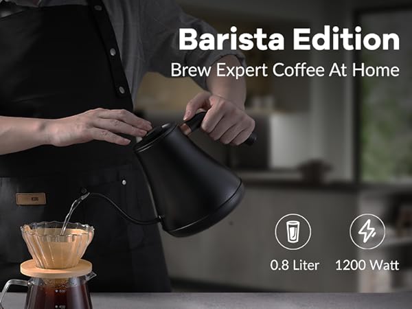 Electric Gooseneck Kettle
