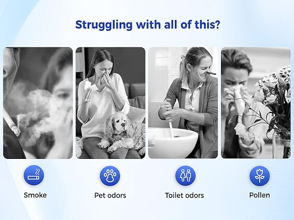 Air Purifier for Home