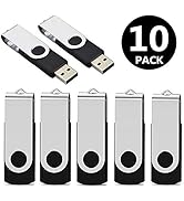 Aiibe 10 Pack 8GB USB Flash Drive Flash Drives USB 2.0 Thumb Drive Memory Stick Zip Drives Bulk (...