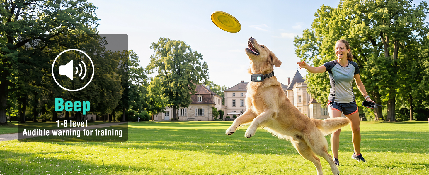 dog shock collar with remote control