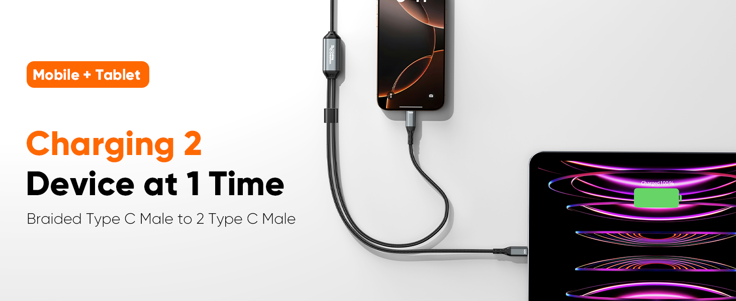 Type C Male to Type C*2 Male cable