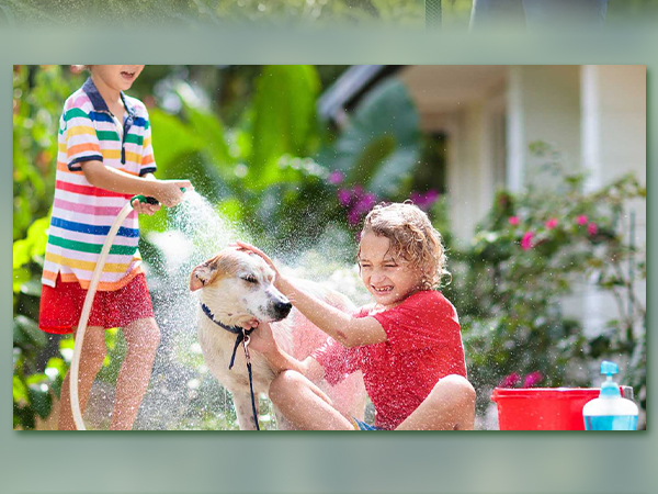 Pet Washing