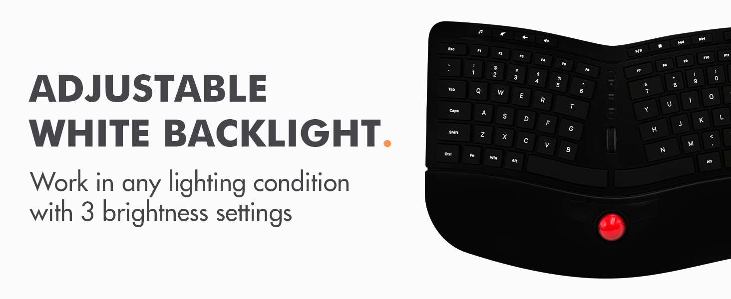 Adjustable White Backlight