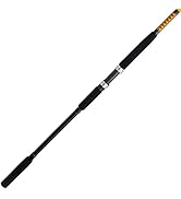 Ugly Stik Bigwater Spinning Fishing Rod