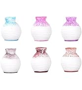 6Pcs Mini Bud Vases for Fairy Garden, Resin Flower Vases, Home Tabletop Decoration Gift for Plant...