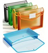 ThinkTex Plastic Expanding File Folder, Transparent envelopes with Snap Closure, No Dividers, Lar...